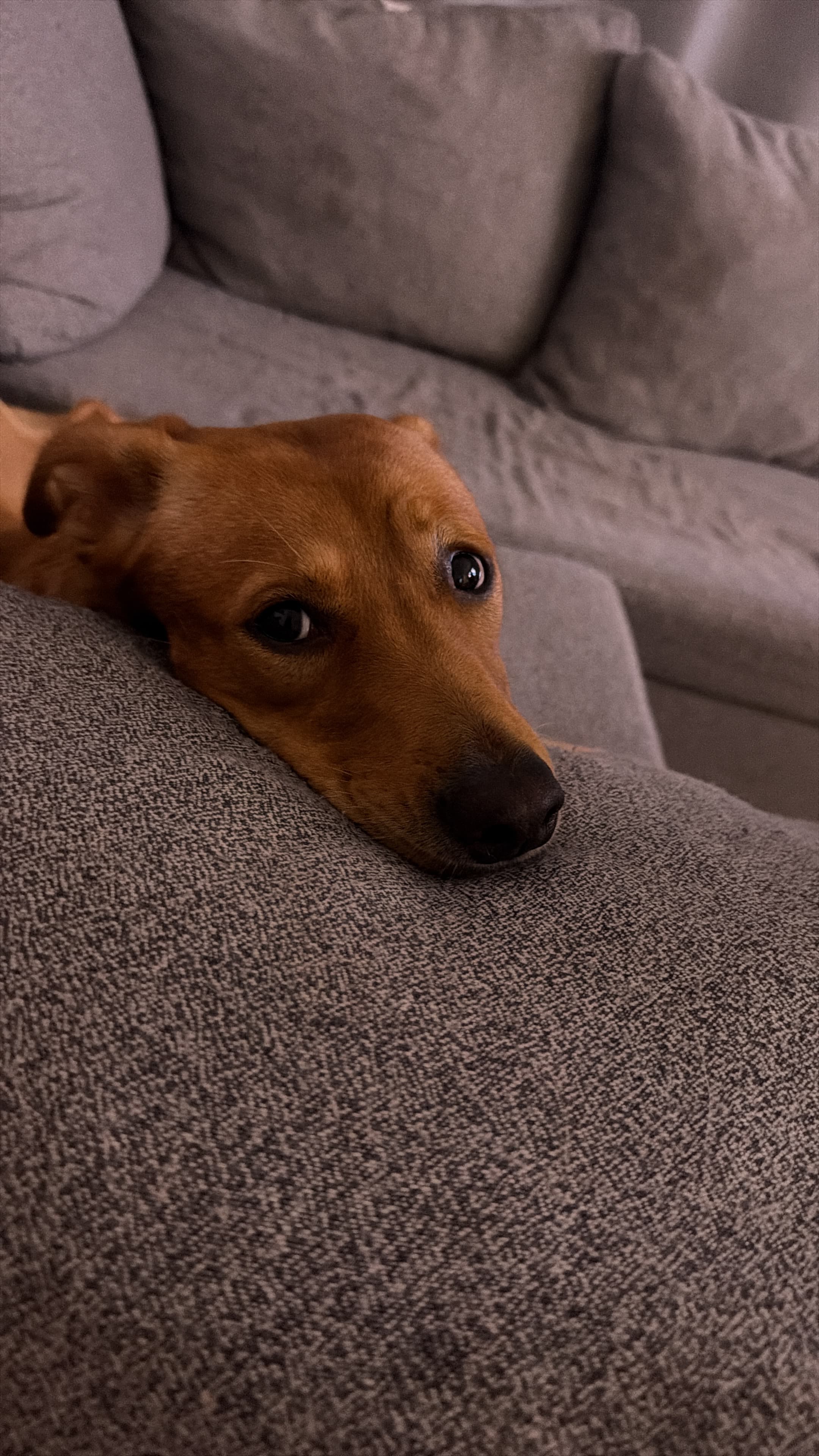 Prueba producción 1