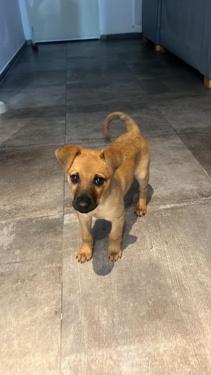 Prueba producción 2